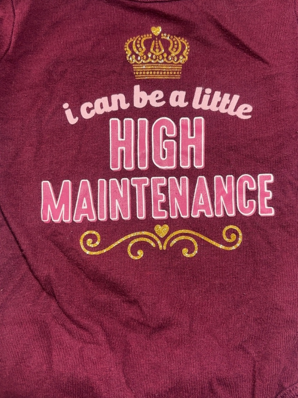 Garanimals Burgundy Tee with Pink and Gold Graphic
